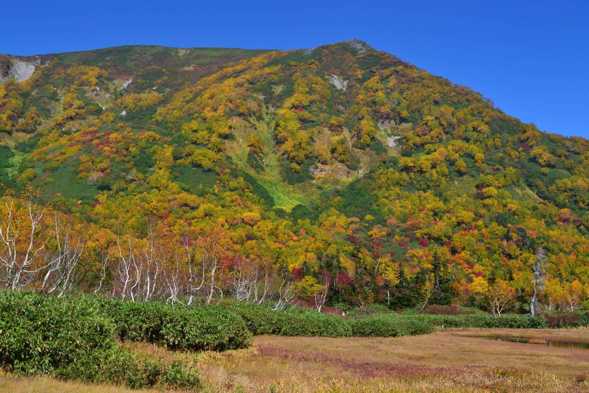 Hakuba Mominoki Hotel Ngoại thất bức ảnh